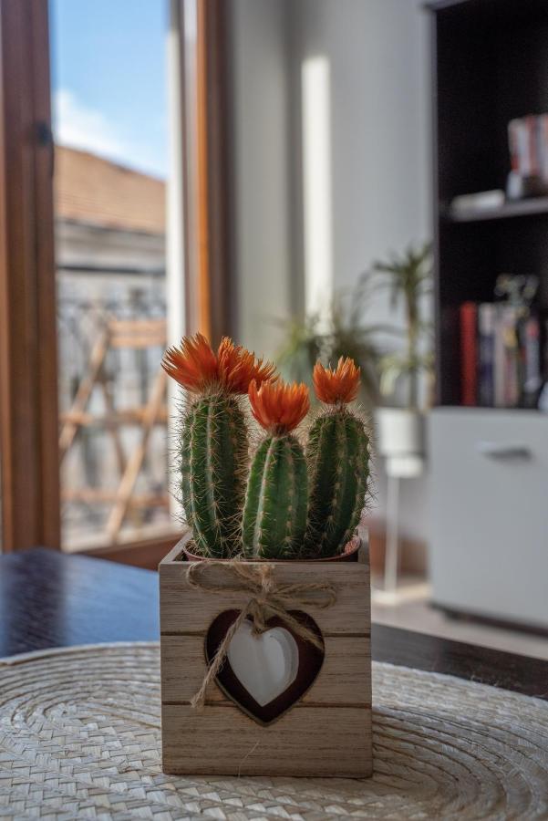 Apartman J&I Котор Экстерьер фото
